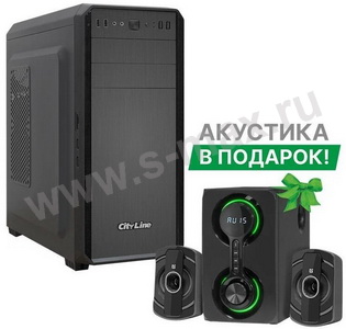 CityLine Action n2230 R5 Pro 2400G/8/480+