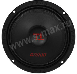 ��������� ���� ��165 ����� RMS 110W (2��.)